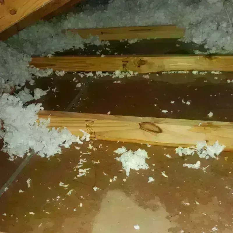 Attic Water Damage in Holley, NY