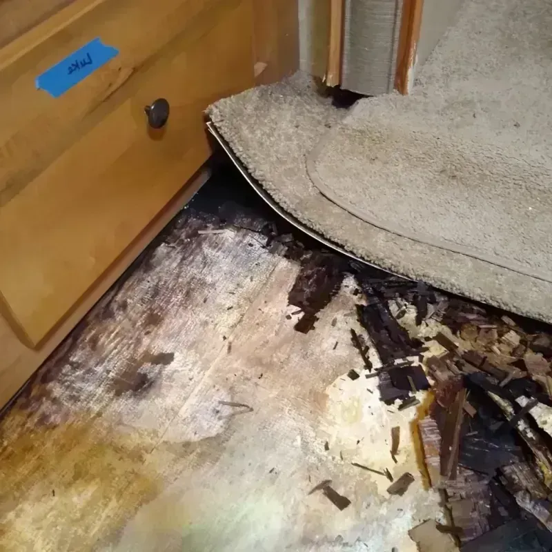 Wood Floor Water Damage in Holley, NY